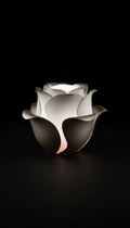 LED Mood Lamp with Rose Glow