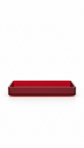 Matte Glass Desk Tray in Cardinal Red